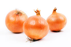 Onion
