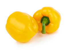 capsicum